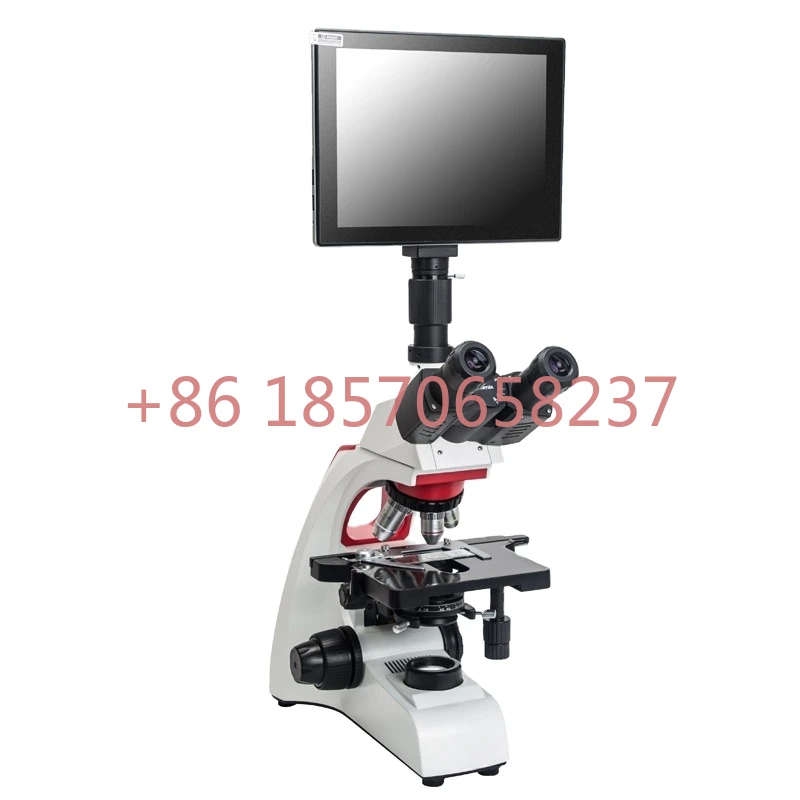 Phenix BMC300 Китай Производство 9,7-дюймовый ЖК-экран Оптический прибор Тринокулярный Медицинский лабораторный Биологический микроскоп