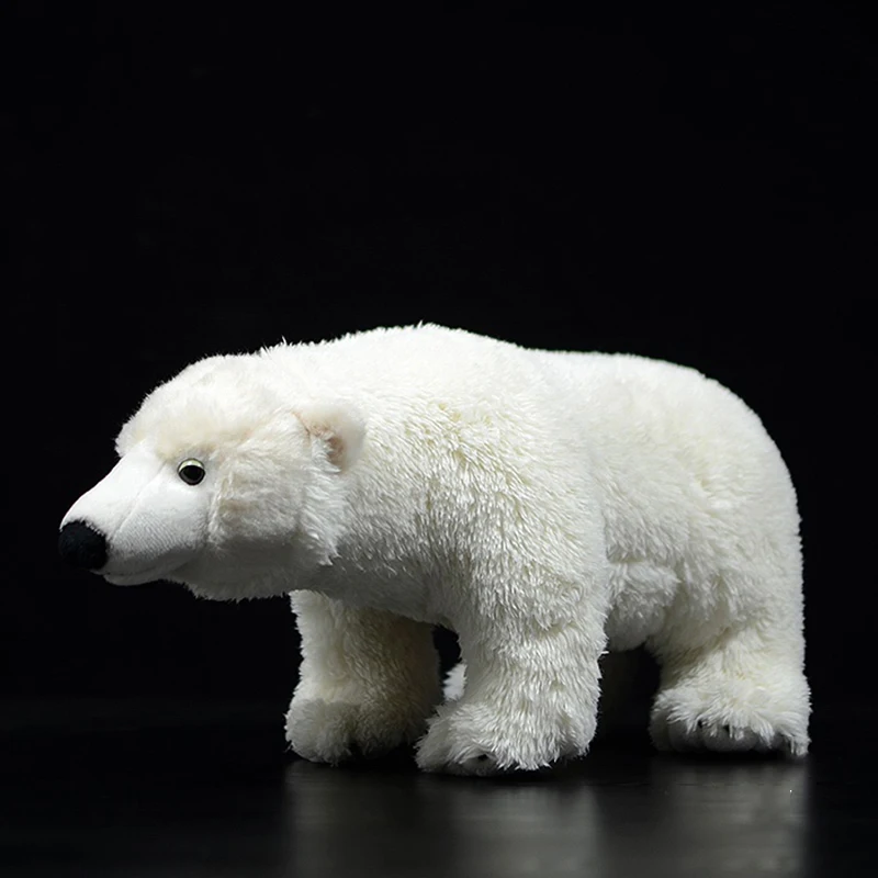 Имитация Милой плюшевой игрушки Ursus Maritimus, реалистичная мягкая имитация Куклы Белого медведя, реалистичная модель животного, подарок для детей